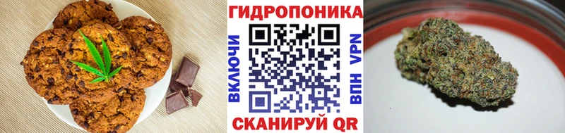 Cannafood марихуана Касимов