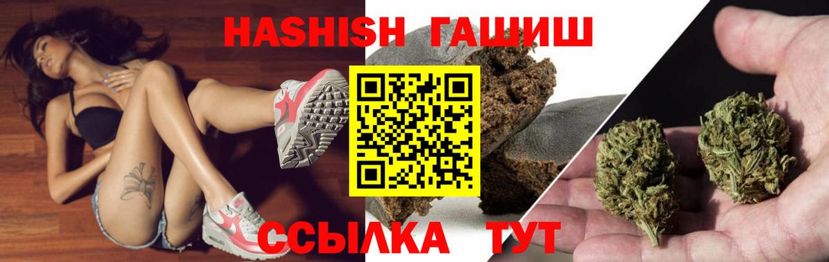 Касимов  ГАШ гарик  Вход с VPN  ГАШ Premium 