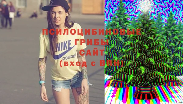 экстази Осташков