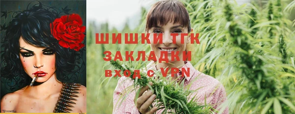 СК Няндома