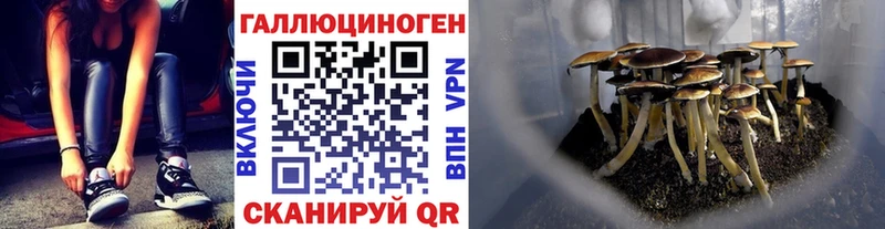 Галлюциногенные грибы прущие грибы Касимов