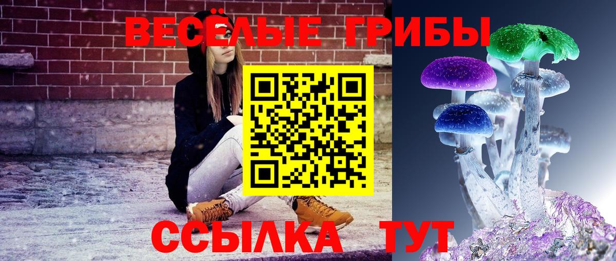 продажа наркотиков  Вход с VPN  Касимов  Псилоцибиновые грибы прущие грибы 