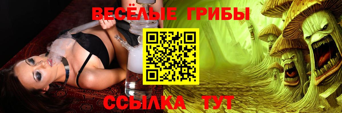 Псилоцибиновые грибы Psilocybe Касимов